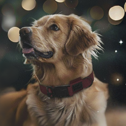 AirTag Dog Collar (S-L) | SPRK-25 3.0