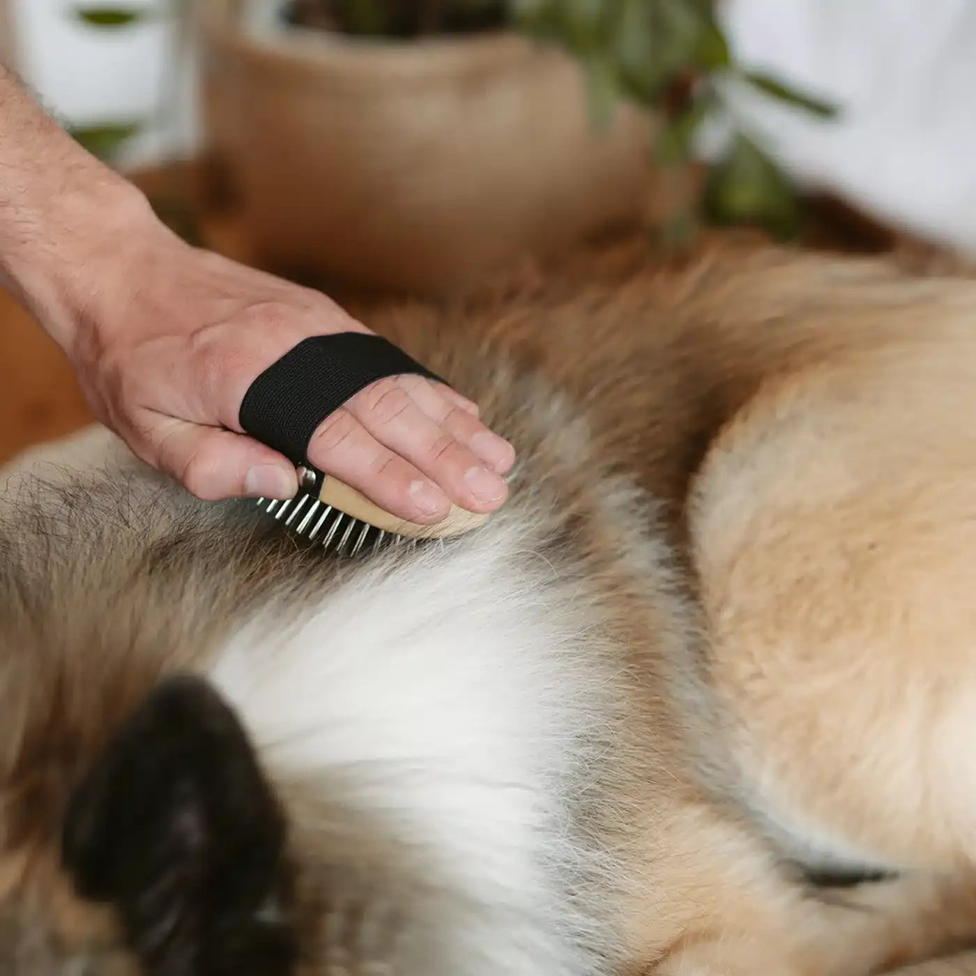 LILA LOVES IT dog grooming brush with elastic hand strap | Duke & Milo
