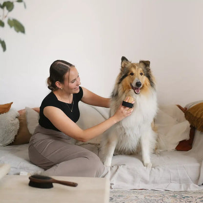 LILA LOVES IT German-made long-hair dog brush | Duke & Milo