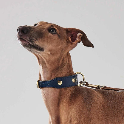 The Dog Mum Mother's Day Bundle — Heart Collar, Alpaca Jumper & Rope Toy