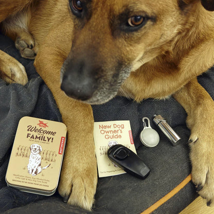 New Puppy Starter Kit