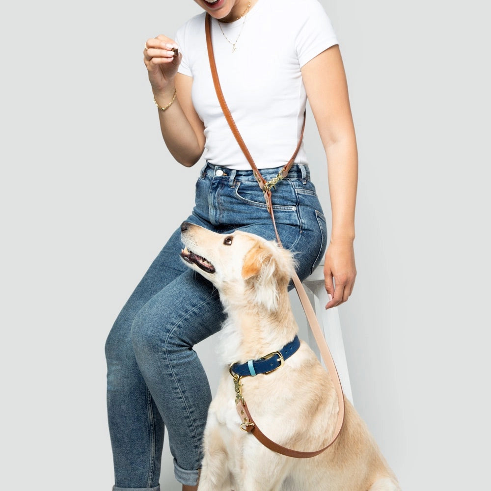Timeless Hands-Free Dog Lead – Handmade Leather