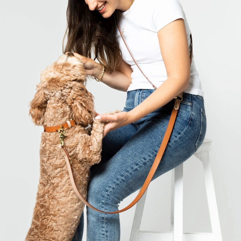 Timeless Hands-Free Dog Lead – Handmade Leather
