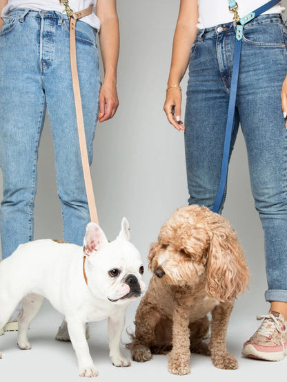 Timeless Hands-Free Dog Lead – Handmade Leather