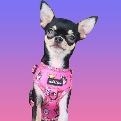 Small Dog Harness - Signature Pink Chihuahua Print