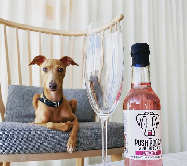 Woof & Brew - Posh Pooch Dog Wine Duo Pack